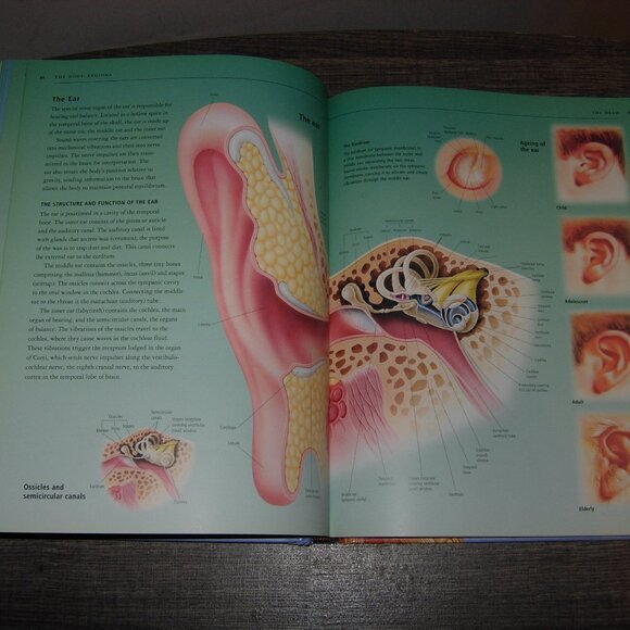 The Human Body Atlas Coffee Table Book - Picture 2 of 3